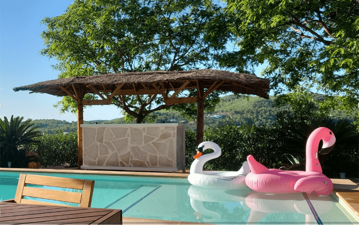 rubber ducks in pool